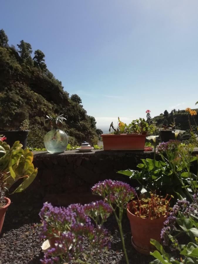 Grosse Finca 19Jh, Pool, Terrasse, Nahe Santa Cruz Santa Cruz de la Palma  Eksteriør billede